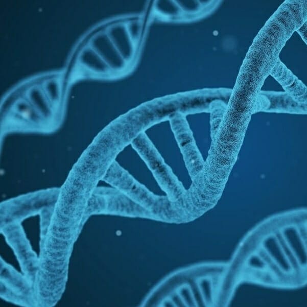 DNA strand